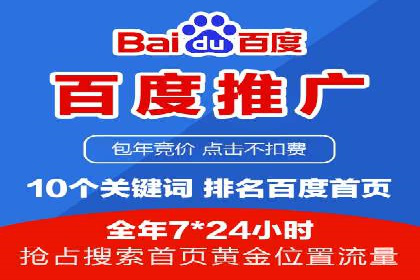 竞价广告的技巧与策略：网络推广的经典案例分享